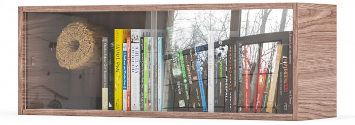 Полка книжная С-МД-КН01, цвет ясень шимо тёмный, ШхГхВ 83х25х30 см., стеклянные дверцы