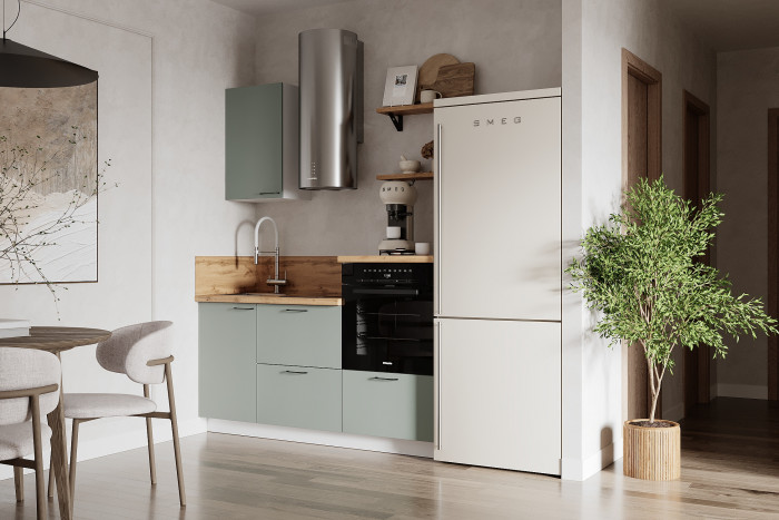 КГ 1650 Эмаль, Олива  Арника РМ в.2