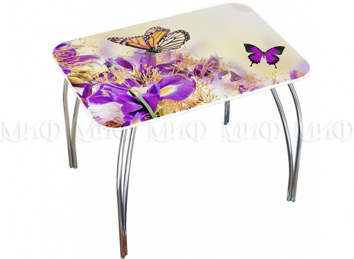 Обеденный стол прямоугольный с фотопечатью