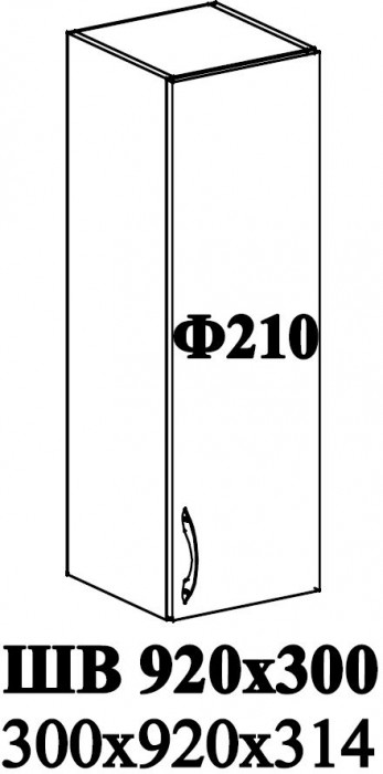 Ф-210 Альфа (ШВ 920х300) МДФ холст белый