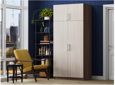 Шкаф №2 2х створчатый (Ясень шимо темный / светлый)