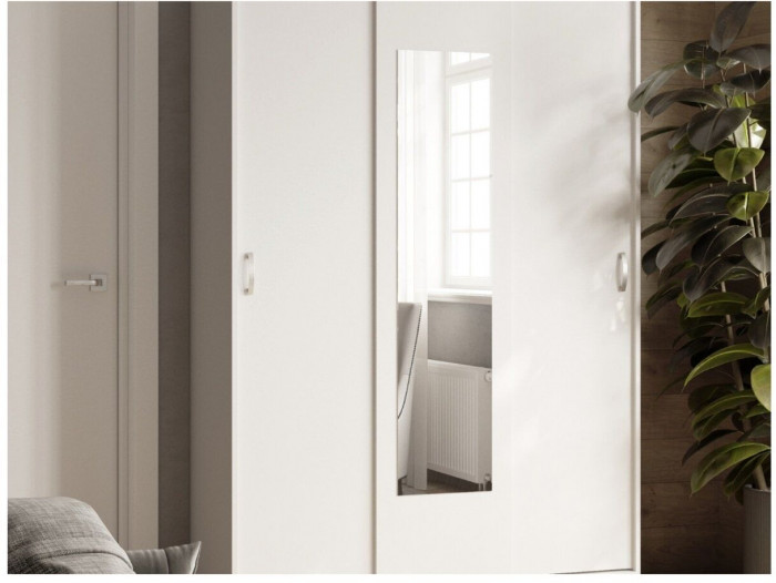 Шкаф-купе Бася белый