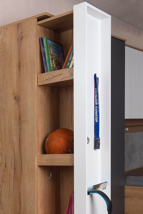 Шкаф МЦН Лойс 85