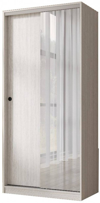 Шкаф-купе Альянс 1000 (Дуб крафт/ Графит)