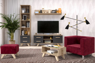 Гостиная Вега Скандинавия (комплект 5)